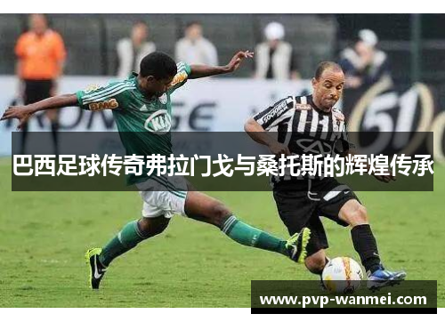 巴西足球传奇弗拉门戈与桑托斯的辉煌传承 巴西足球传奇弗拉门戈与桑托斯的辉煌传承