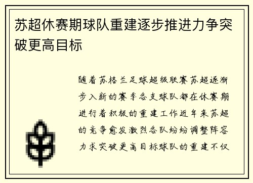 苏超休赛期球队重建逐步推进力争突破更高目标